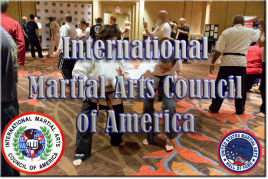 Int'l Martial Arts Council of America